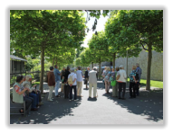 Stadtmauer Am Unteren Wall